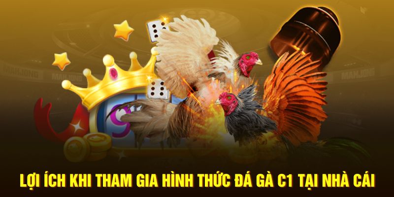 Lợi ích khi tham gia hình thức đá gà C1 tại nhà cái