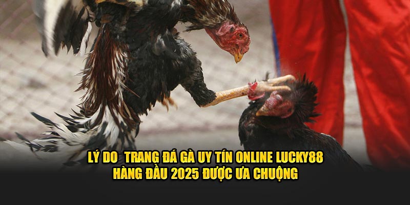 Lý do  trang đá gà uy tín online lucky88 hàng đầu 2025 được ưa chuộng