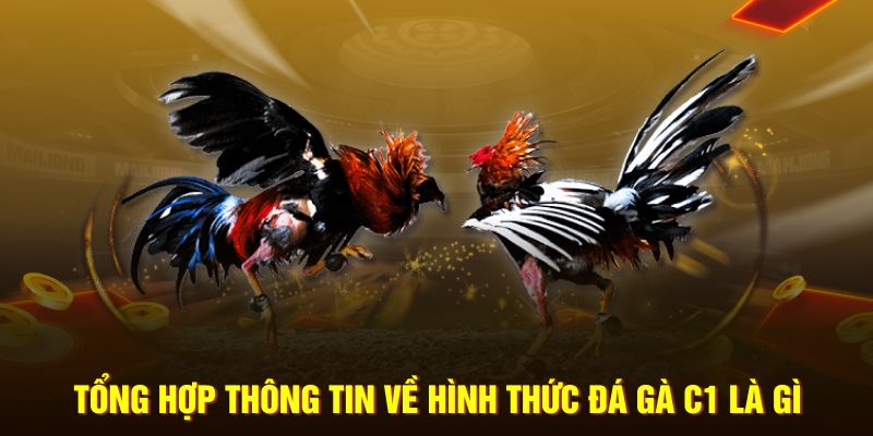 Tổng hợp thông tin về hình thức đá gà C1 là gì