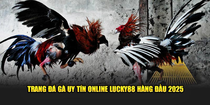 ảnh đại diện đá gà uy tín online